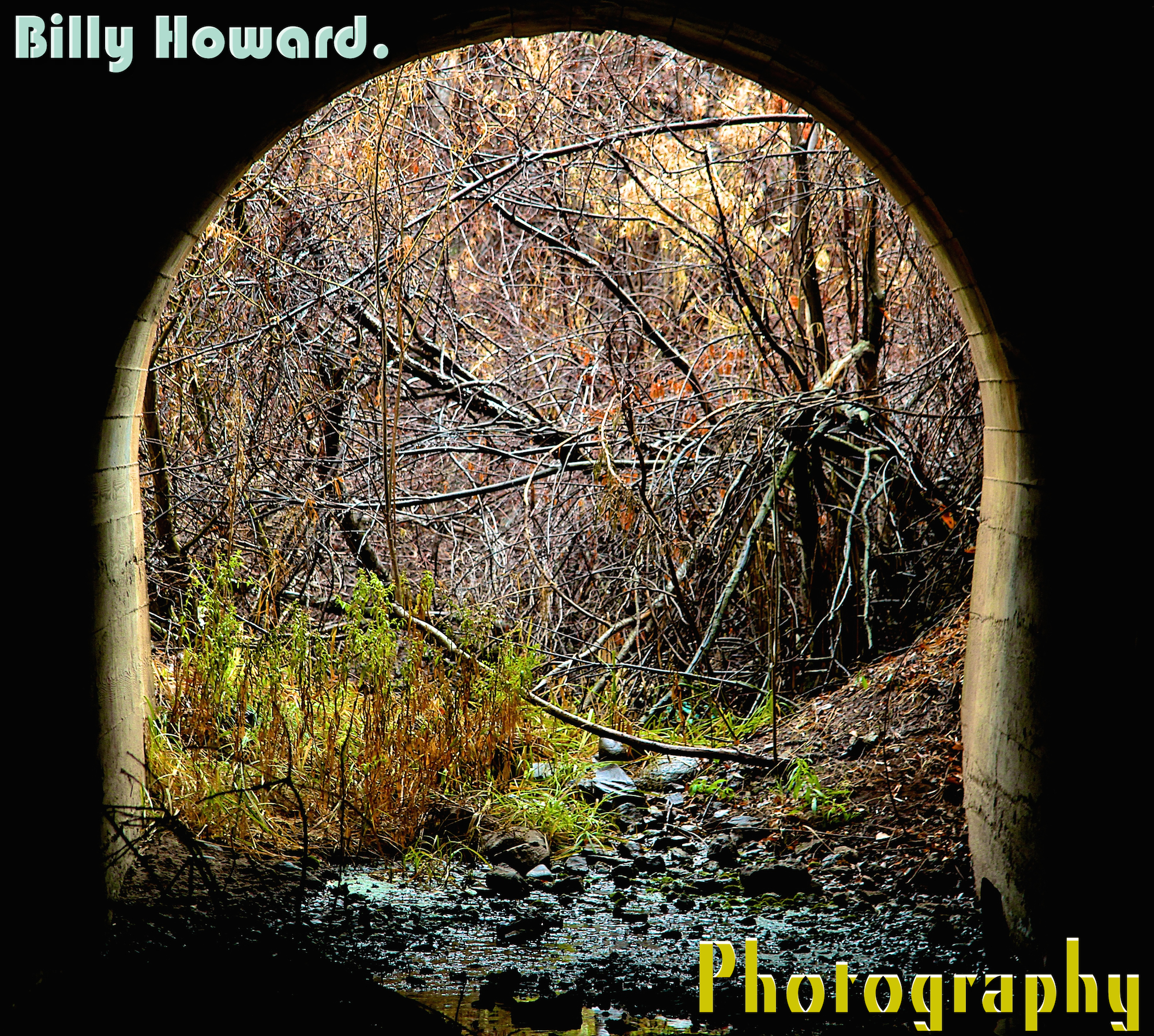 Billy Howard Photography
